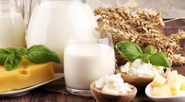 carafes of milk, cheese, and wheat stalks (c) Getty Images