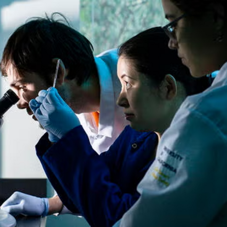 Molecular, Cell and Systems Biology students