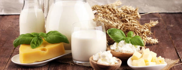 carafes of milk, cheese, and wheat stalks (c) Getty Images